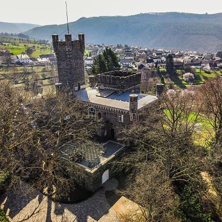 Serrig Saar Castle - Cozy Mansion Near Vineyardヴィラ エクステリア 写真