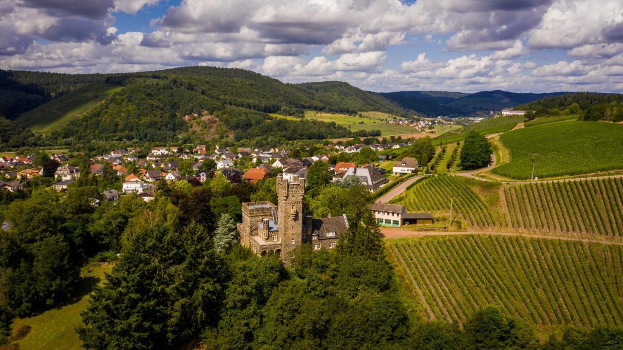 Serrig Saar Castle - Cozy Mansion Near Vineyardヴィラ エクステリア 写真