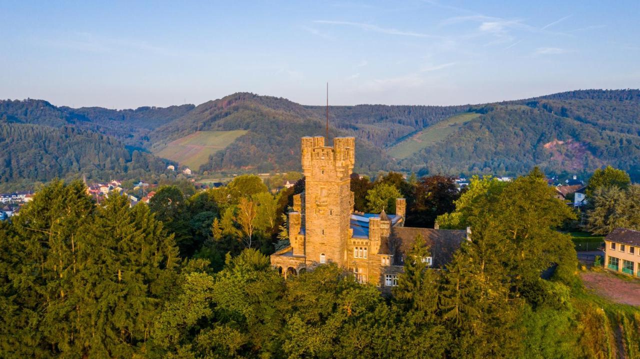 Serrig Saar Castle - Cozy Mansion Near Vineyardヴィラ エクステリア 写真