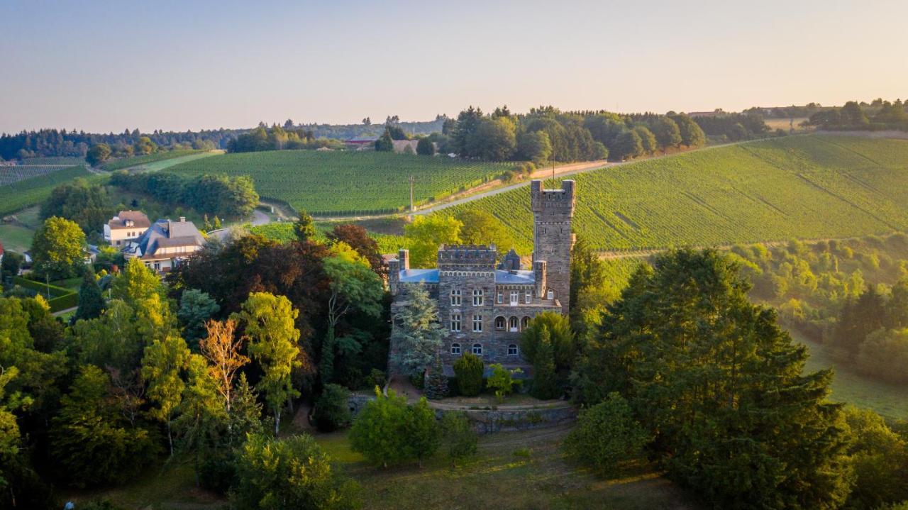 Serrig Saar Castle - Cozy Mansion Near Vineyardヴィラ エクステリア 写真