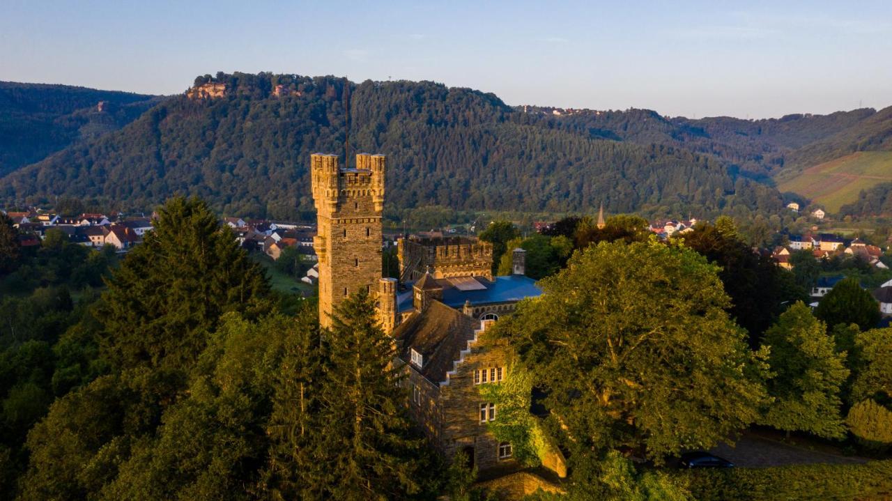 Serrig Saar Castle - Cozy Mansion Near Vineyardヴィラ エクステリア 写真