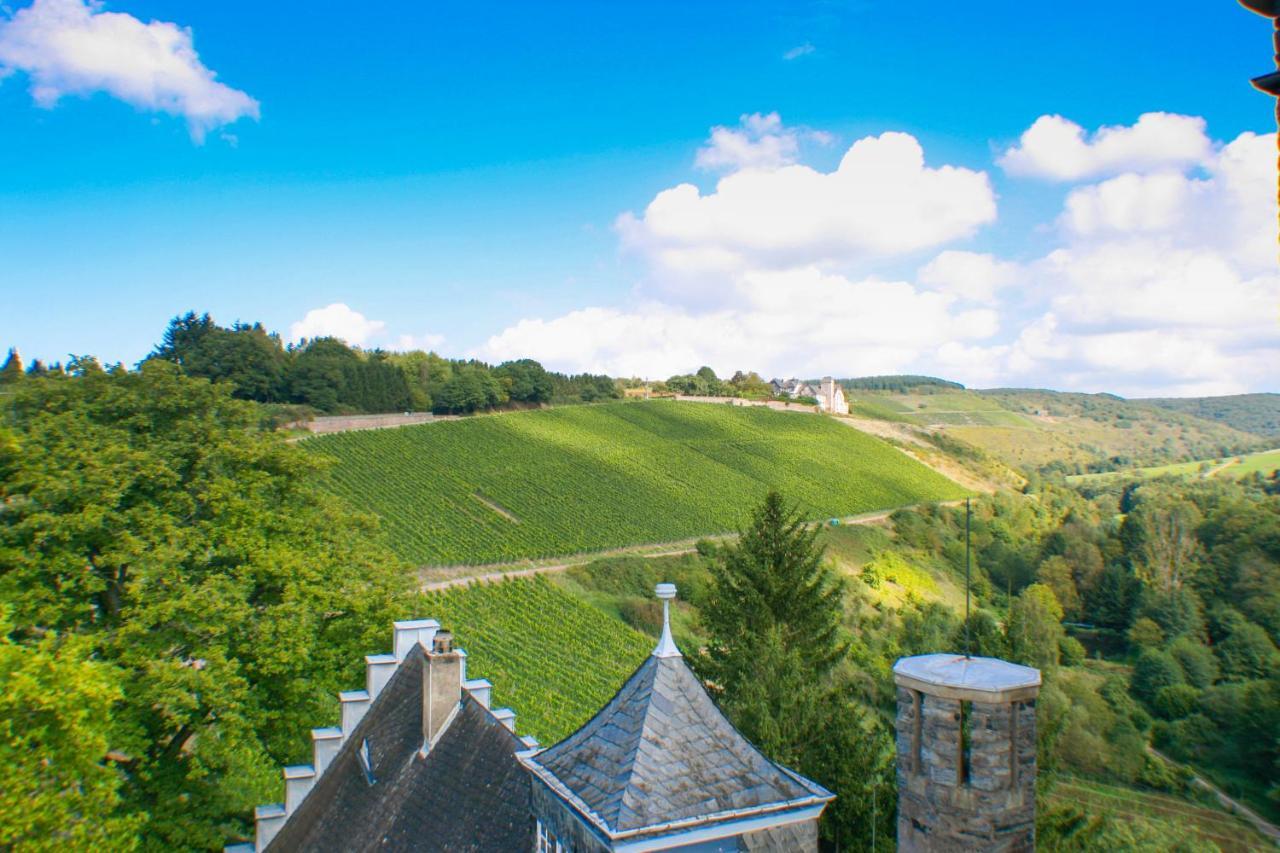 Serrig Saar Castle - Cozy Mansion Near Vineyardヴィラ エクステリア 写真