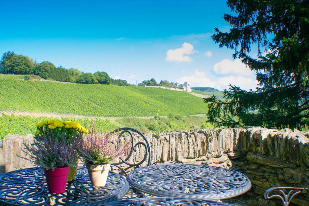 Serrig Saar Castle - Cozy Mansion Near Vineyardヴィラ エクステリア 写真